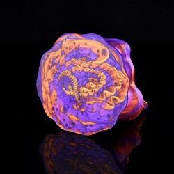 Magic Pupil Lotus Wriggling Granules Sex Grinder