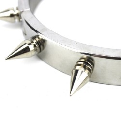 Male And Female Stainless Steel Spiked Dog Collars