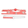 D-Ring Leather Collar With Ball Gag