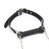 Bit Gag With Collars Leads