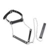 Bit Gag With Collars Leads