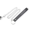 Bit Gag With Collars Leads