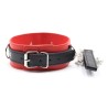 Leather Locking Red/Black Fetish Collar