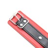 Leather Locking Red/Black Fetish Collar