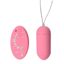 Remote Control Egg