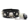 Collar Lockable With Full Spikes