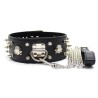 Collar Lockable With Full Spikes