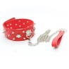 Collar Lockable With Full Spikes
