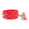 Collar Lockable With Full Spikes