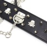 Collar Lockable With Full Spikes