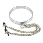 Chrome Collar with Nipple Clamps