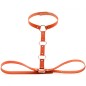 Waist Belt strap With Collar