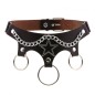 Five Star Chain Collar