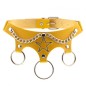 Five Star Chain Collar