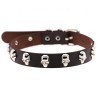 Skull Scalp Collar