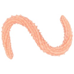 Barbed 24 inch PVC Butt Plug