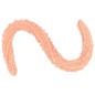 Barbed 24 inch PVC Butt Plug