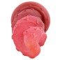 Colorful Silicone  Anal Plug - Squid