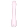 Fanny Rabbit Vibrator