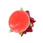 Rose Nipple Covers