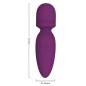 Baldwin Magic Wand AV Vibrator