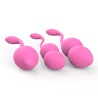 Akili BenWa Balls Kit