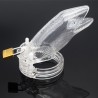 Crocodile Chastity Device