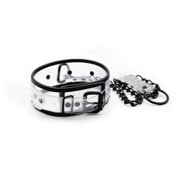 Clear Collar With Lead