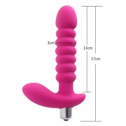 Anal Pleasure 10 Function Ribbled Explore