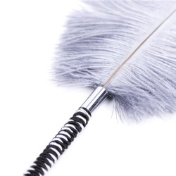 Playful Feathers Tickler